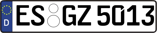 ES-GZ5013