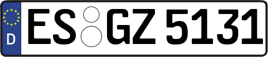 ES-GZ5131