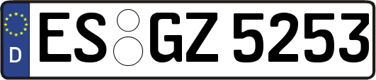 ES-GZ5253