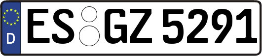 ES-GZ5291