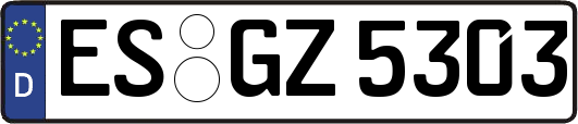 ES-GZ5303