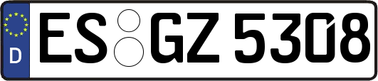 ES-GZ5308