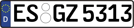 ES-GZ5313