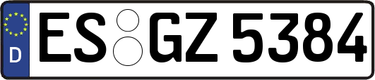 ES-GZ5384
