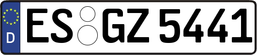 ES-GZ5441