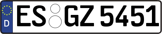 ES-GZ5451