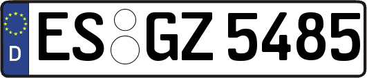 ES-GZ5485