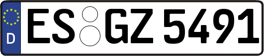 ES-GZ5491