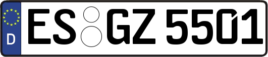 ES-GZ5501