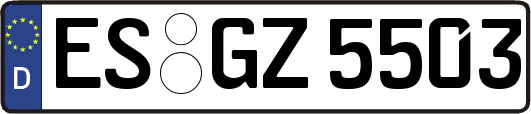 ES-GZ5503