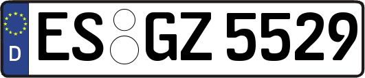 ES-GZ5529