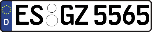ES-GZ5565
