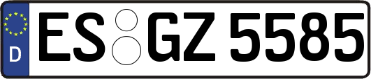 ES-GZ5585