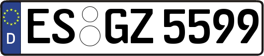 ES-GZ5599