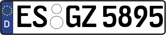 ES-GZ5895