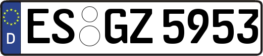 ES-GZ5953