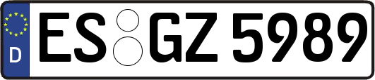 ES-GZ5989