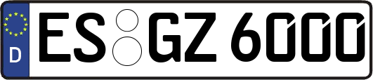 ES-GZ6000