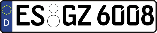 ES-GZ6008