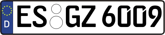 ES-GZ6009