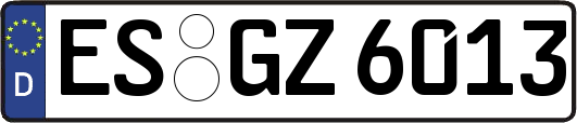 ES-GZ6013