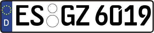 ES-GZ6019