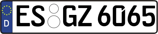 ES-GZ6065