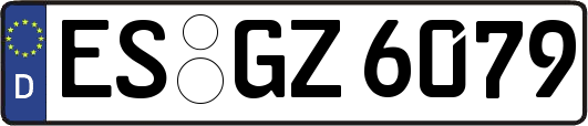 ES-GZ6079