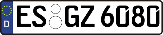 ES-GZ6080