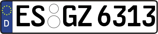 ES-GZ6313