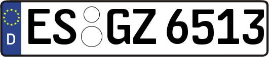 ES-GZ6513