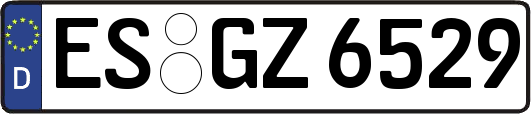 ES-GZ6529