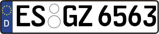 ES-GZ6563