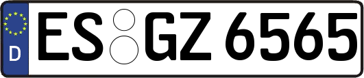ES-GZ6565