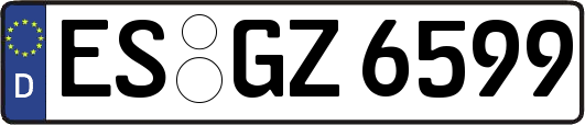 ES-GZ6599