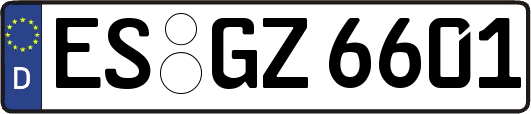 ES-GZ6601