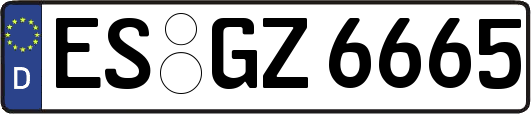 ES-GZ6665