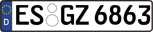 ES-GZ6863