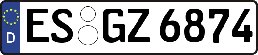 ES-GZ6874