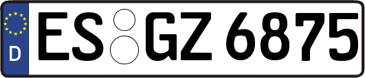 ES-GZ6875