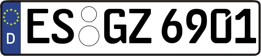 ES-GZ6901