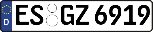 ES-GZ6919