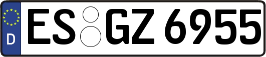 ES-GZ6955