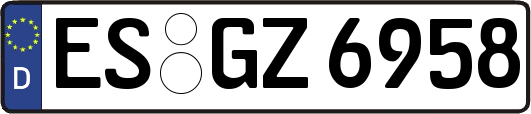 ES-GZ6958