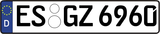 ES-GZ6960