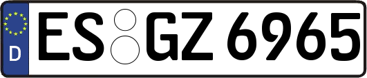 ES-GZ6965
