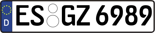 ES-GZ6989