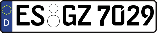 ES-GZ7029