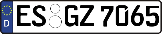ES-GZ7065