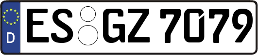 ES-GZ7079